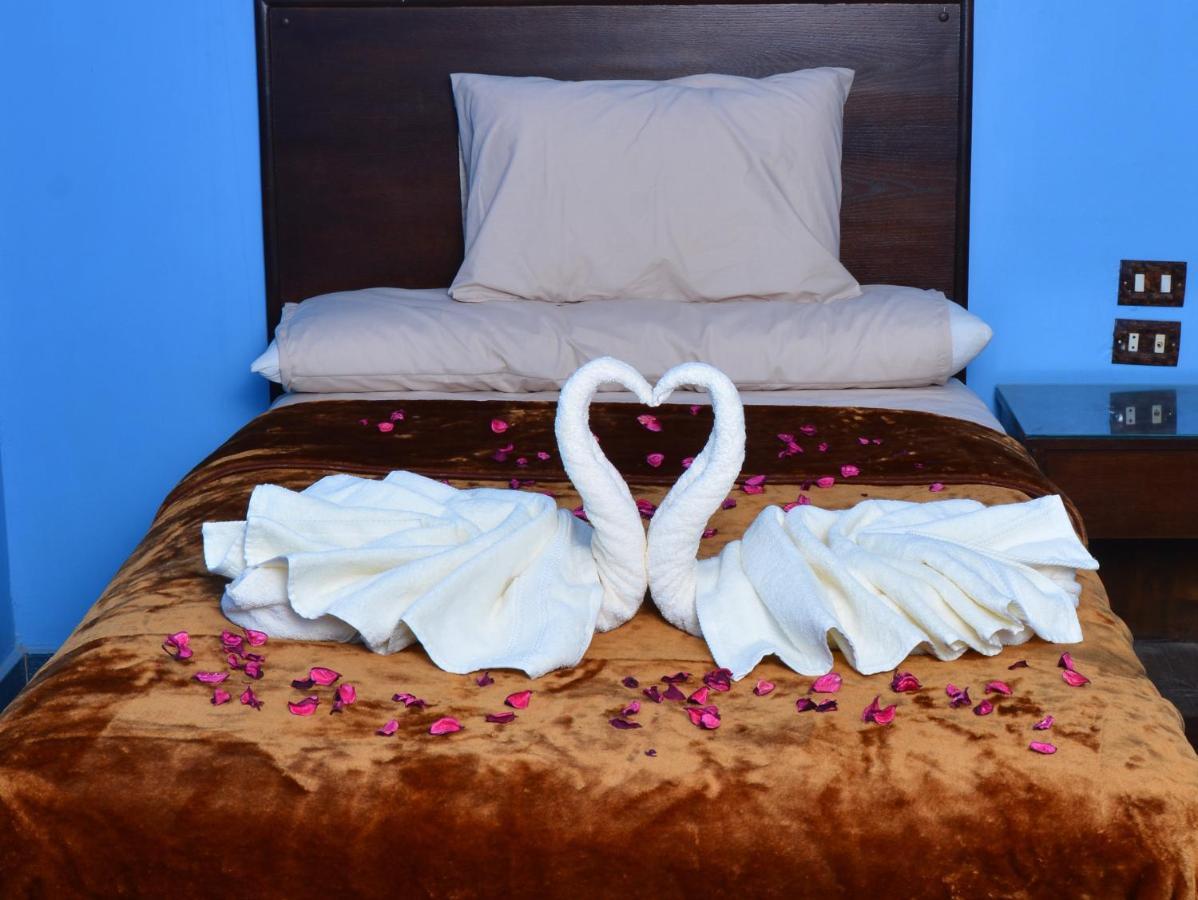 Aswan Nile Palace エクステリア 写真